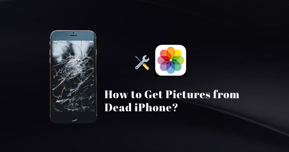 how to get pictures from dead phone